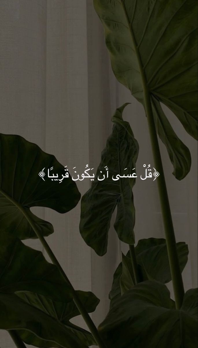 motm2na_'s tweet photo. رسالة لك🤍.. https://t.co/wSzjHsUEZb