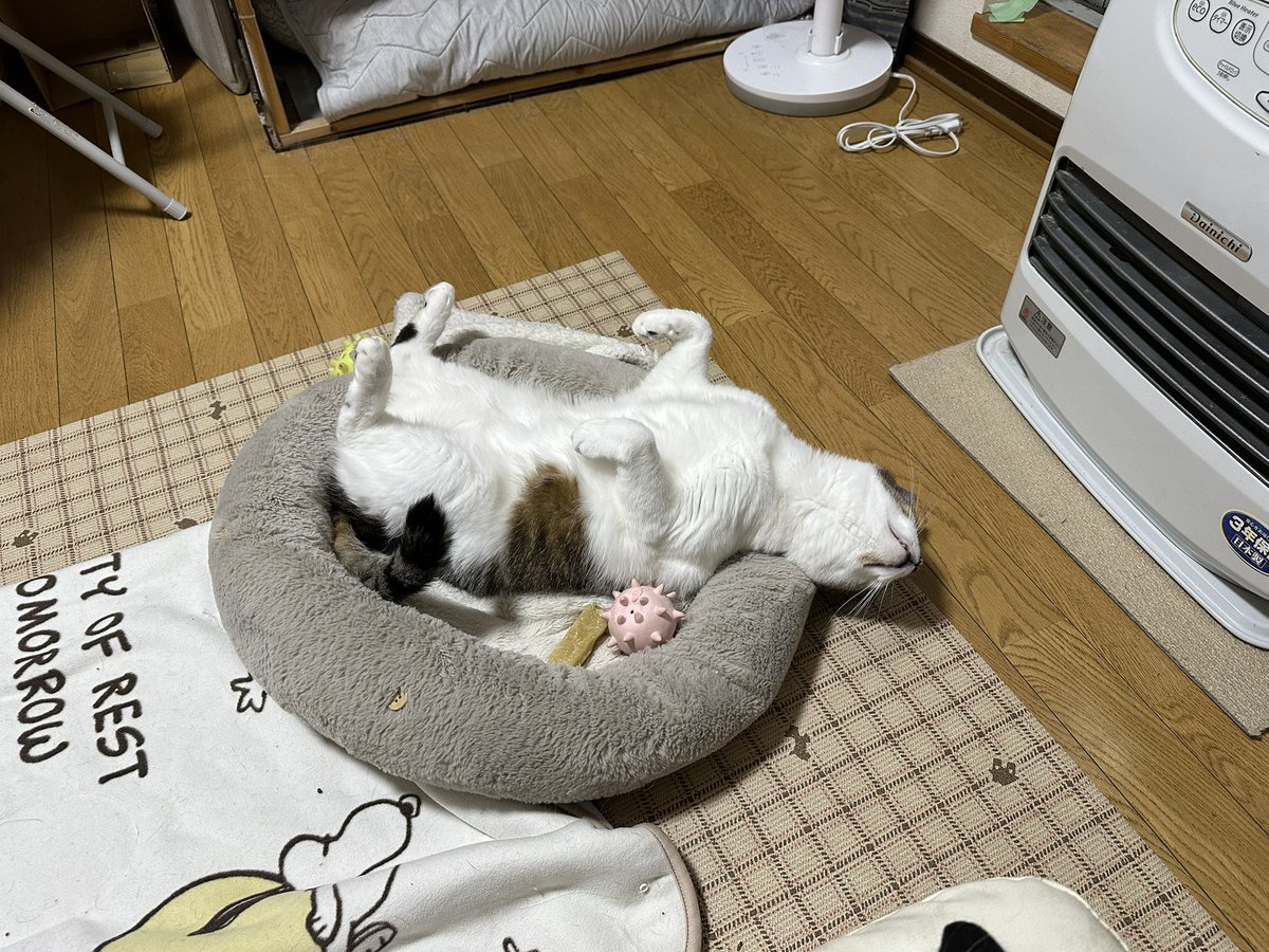 61012Kao's tweet photo. ファンヒーター出した https://t.co/rZ0KzBrb8l