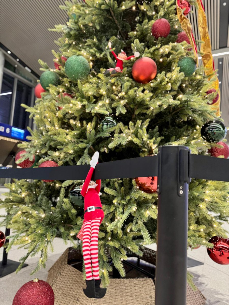 Translink_NI's tweet photo. Special visitors are at Belfast Grand Central for a screening of Elf. Join us for the second screening at 3:30PM to spread Christmas cheer, Buddy style

Donations will support #StuffABusNI @FareShareNI &amp; @AirAmbulanceNI

🎅 The screening will take place in an open area so wrap up https://t.co/FMLOgdR8qE