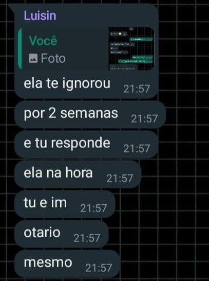 burrosgeniais's tweet image. 