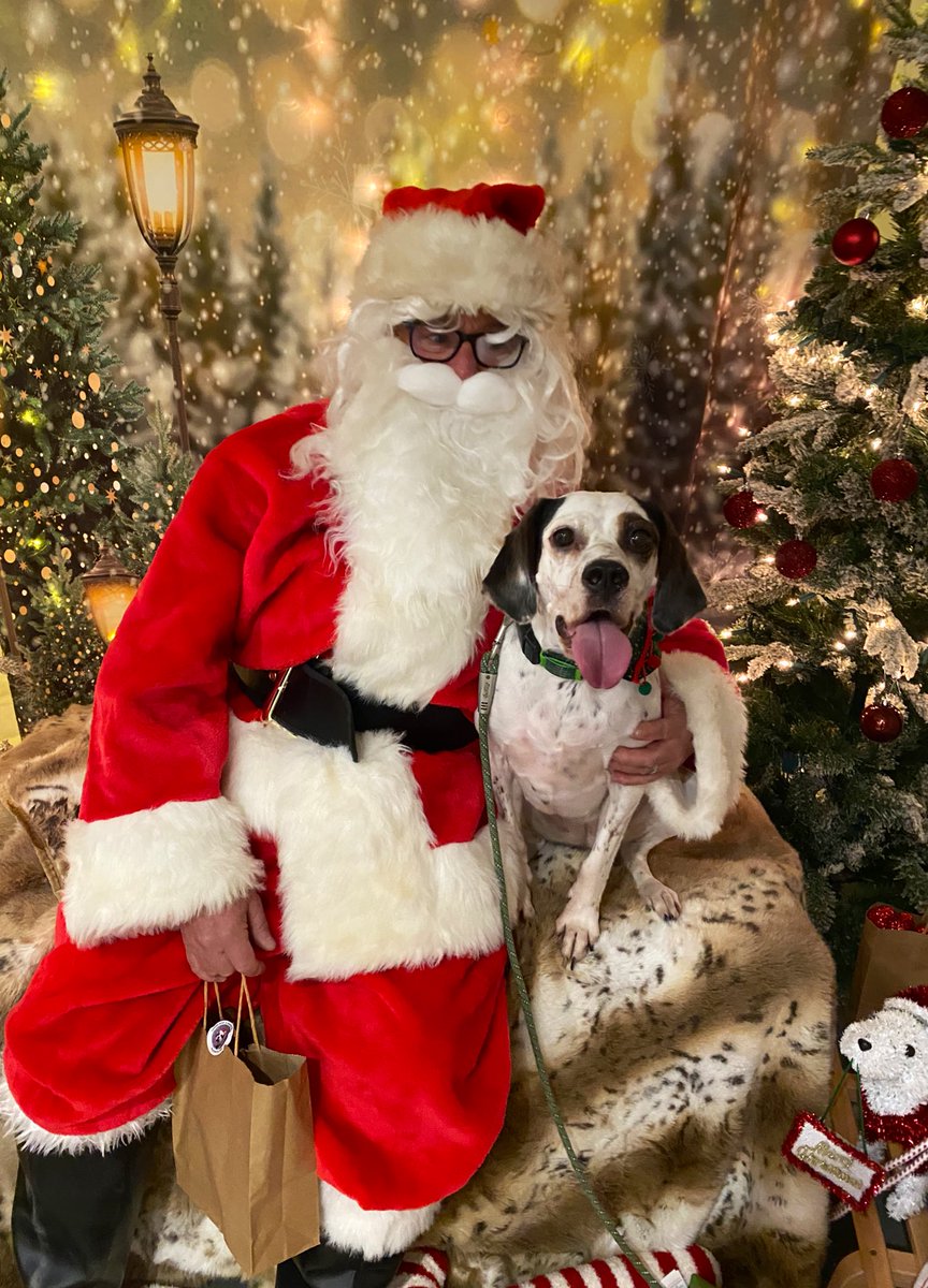 Me and Santa are best friends and I said I’d like have snossiges for Christmas please, love Banjo 🎅❤️🎄🦴