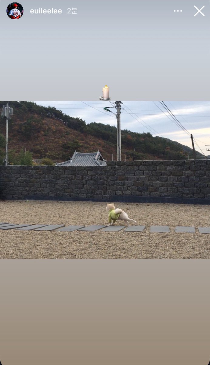 maybe_kiatigers's tweet photo. 기아 타이거즈 이의리
🕯️ https://t.co/KWh13X92Vr