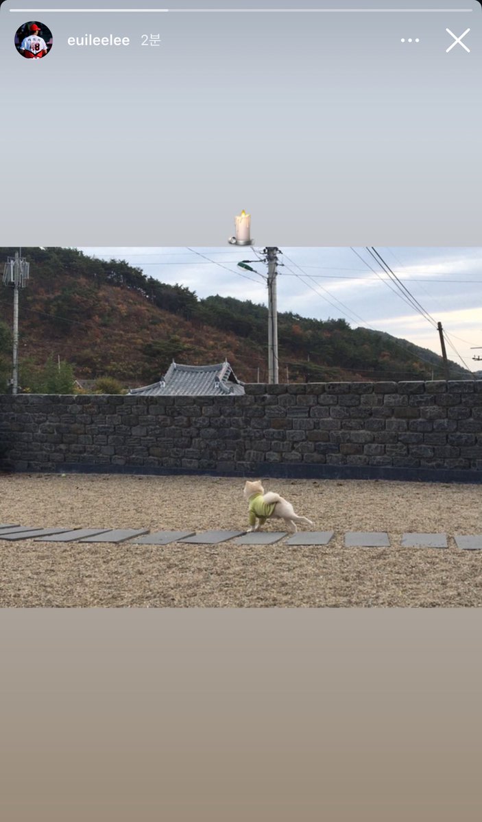 의리야아아아... ㅠㅠ 🕯️