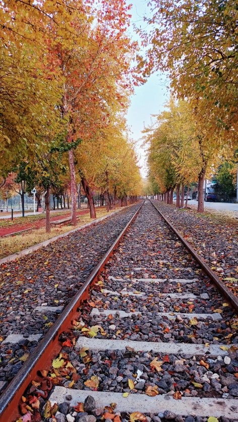Rojdakaruc's tweet photo. Herkes kendine göre bir sonbahar arıyor. 🍂🍁 https://t.co/O5VSoQ9YgE