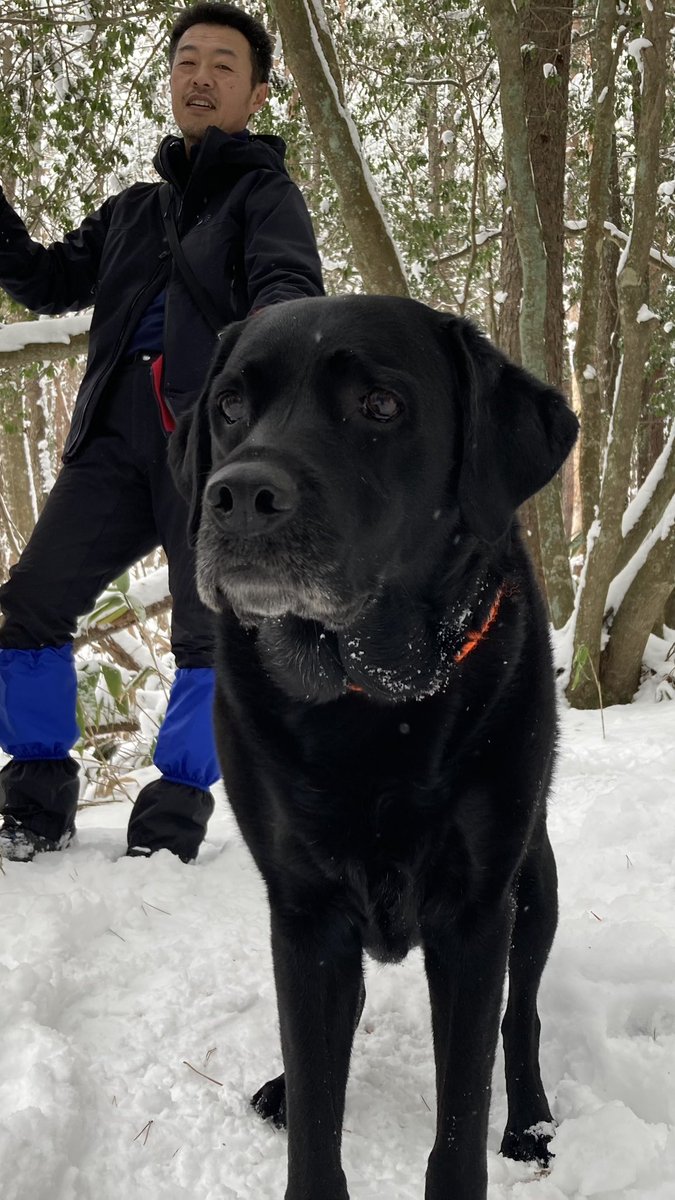 LUNAの季節到来❄️
私たちも毎週末は雪山で過ごす生活になりまーす☺️
暑いのが苦手な私には過ごしやすい季節になって嬉しくてたまらない❤️

#田舎暮らし
#愛犬との思い出
#雪山