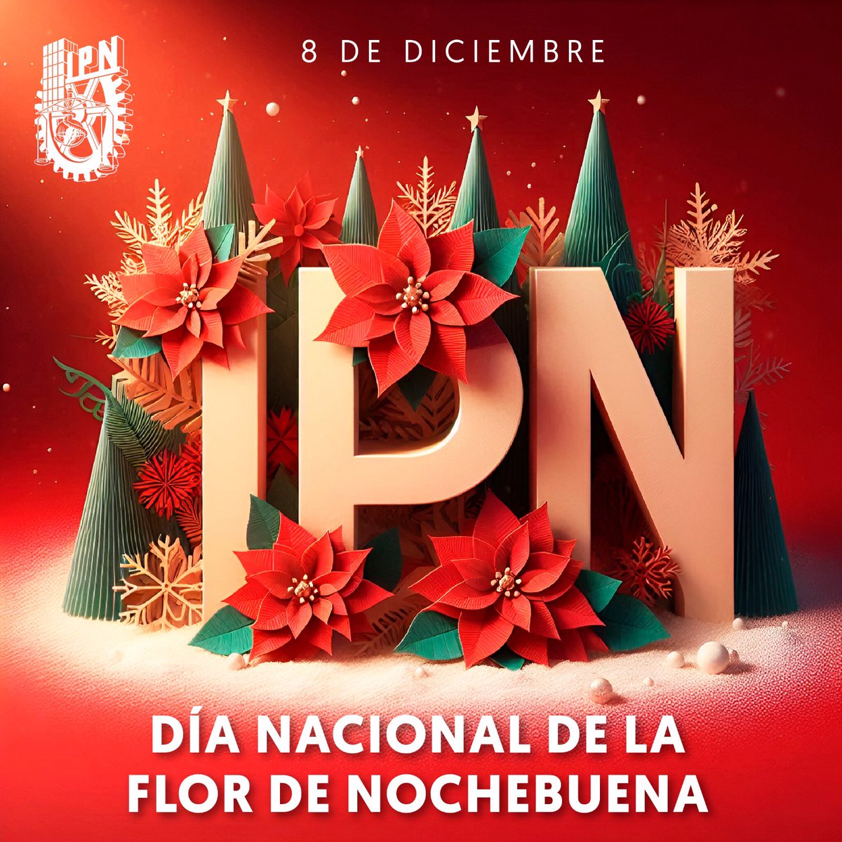 IPN_MX's tweet photo. 🌺✨ Hoy celebramos el Día Nacional de la Flor de Nochebuena.
Este símbolo de la temporada decembrina no solo adorna nuestros hogares, también es un orgullo nacional 🌎❤️. En el #IPN, valoramos la riqueza natural de México y promovemos su cuidado y conservación a través de la ciencia y la investigación 🌱🔬.