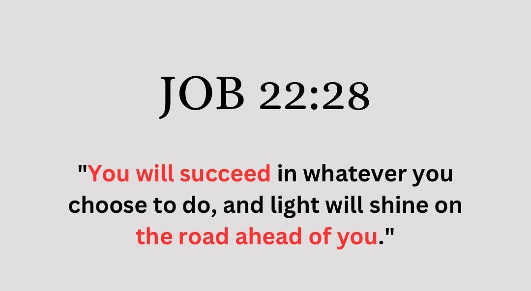 Job 22:28