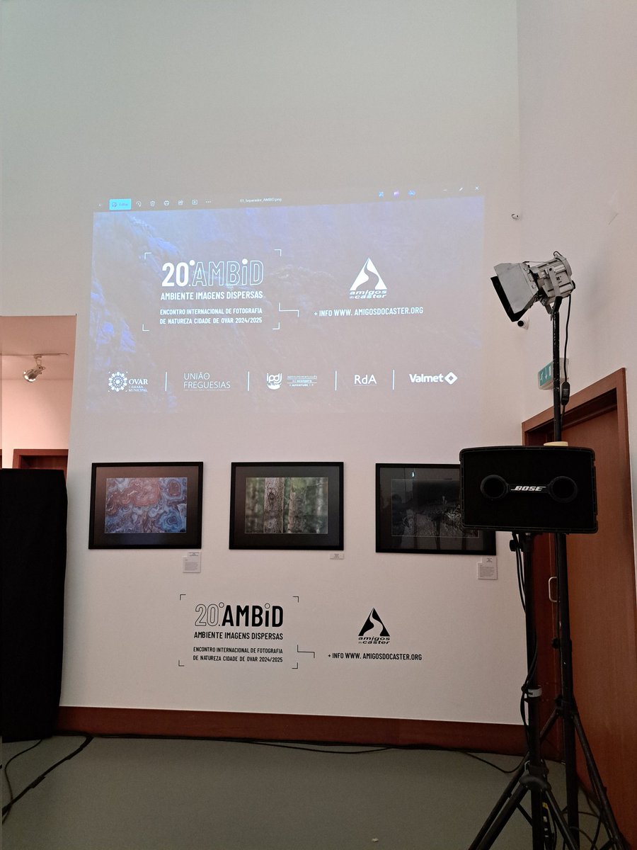 Jorge Rodrigues de Almeida tweet media