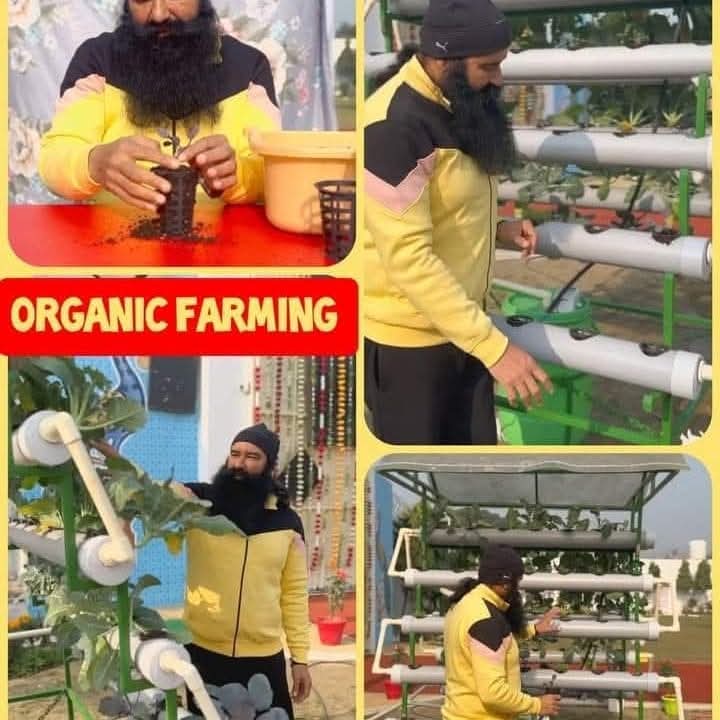 Rekhajuneja777's tweet image. The #SaintDrMsg gives us various tips of growing crops. 
#OrganicFarmingTips #GrowOrganic
#AdvanceAgriculture #OrganicFarming #FarmingTips #ProductiveFarmingTips
#EasyFarmingTips #SmartFarmingTips
By following those tips we can make our soil fertile.