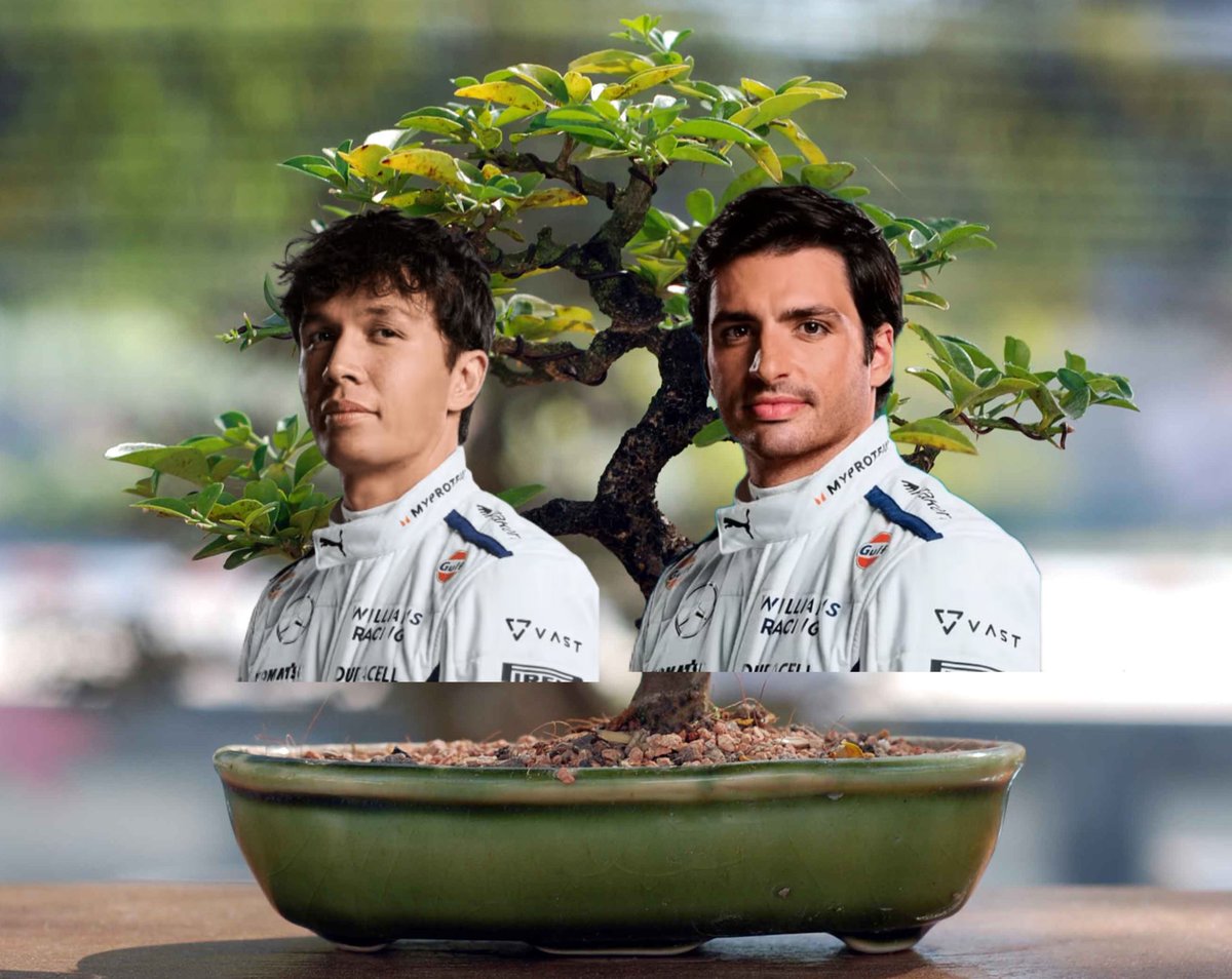 SAINZLOVERS's tweet photo. BONSAI TEAMMATES HERE WE GO https://t.co/OMFp2cueTl