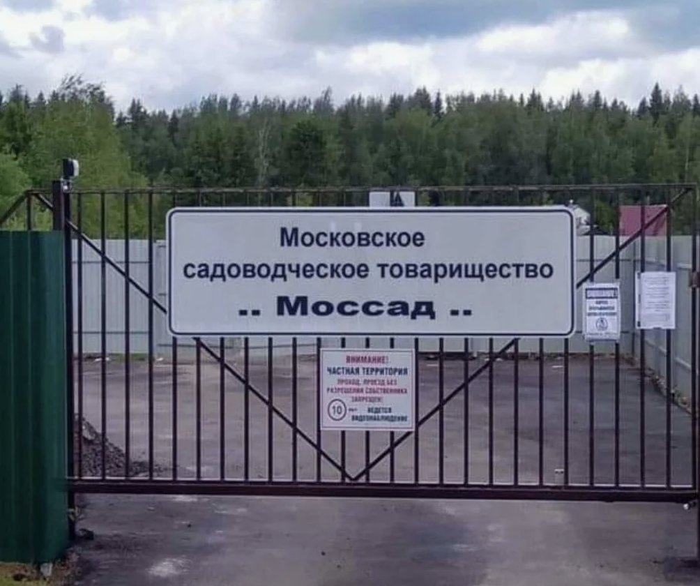 ilya_shepelin's tweet photo. @zimbru_khv естессно. наш – московский сад! https://t.co/Pg2hGdwgXU