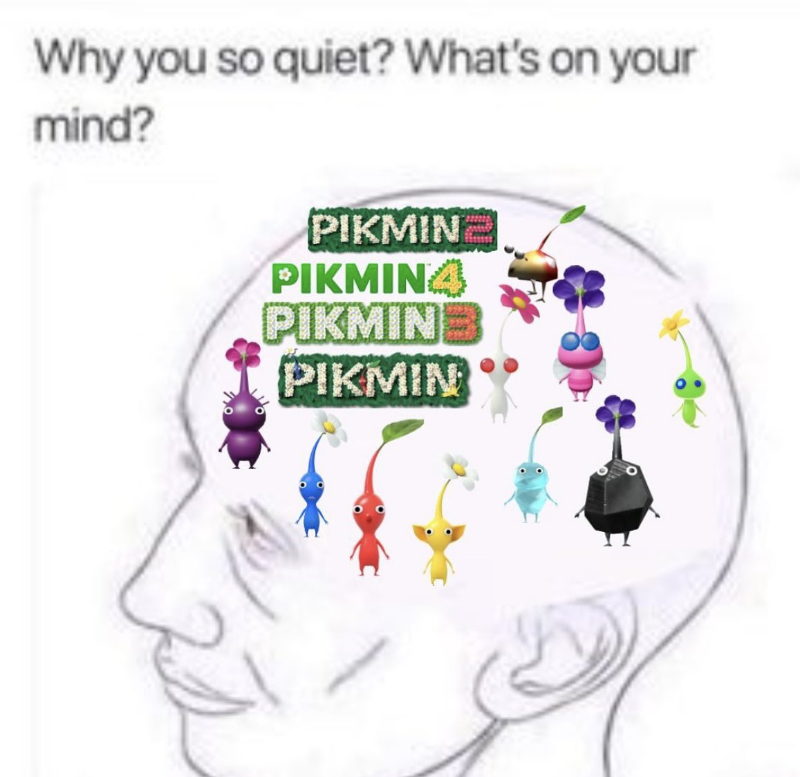 WhitePikmin_11's tweet photo. What truly matters: https://t.co/QMfczhM4Kc