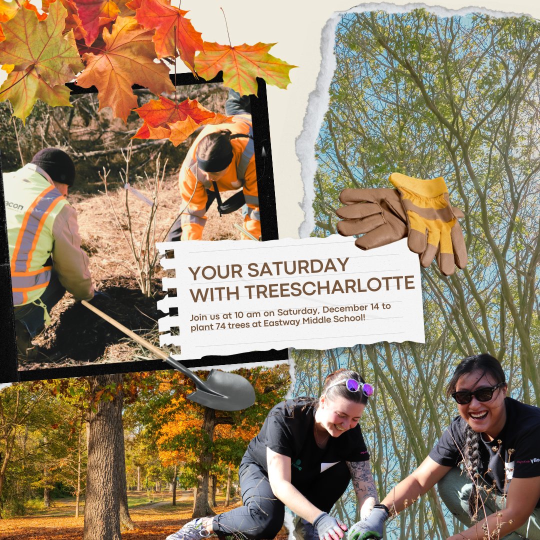treescharlotte tweet media