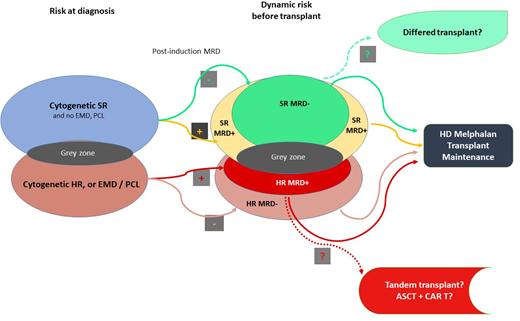 Transplant in myeloma: who, when, and why? ashpublications.org/hematology/art… #mmsm #ASH24