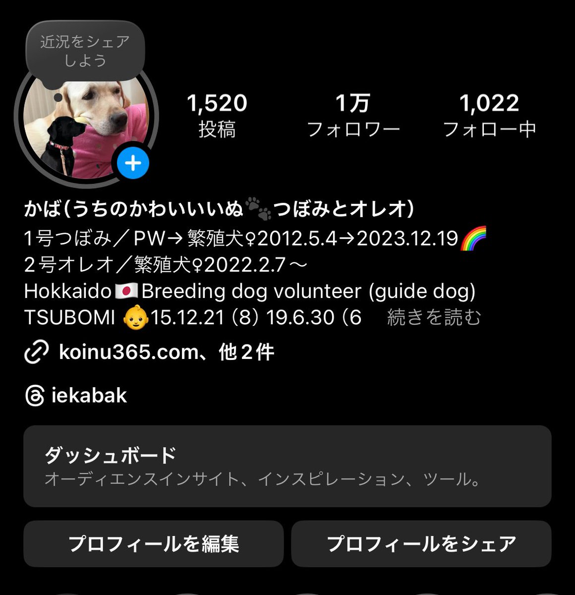 kabaks_'s tweet photo. Instagram、個人アカウントのままなんだけど、インサイト見れるようになってる！
いつから？今気付いたんだけど… https://t.co/G26iTfh6ZH