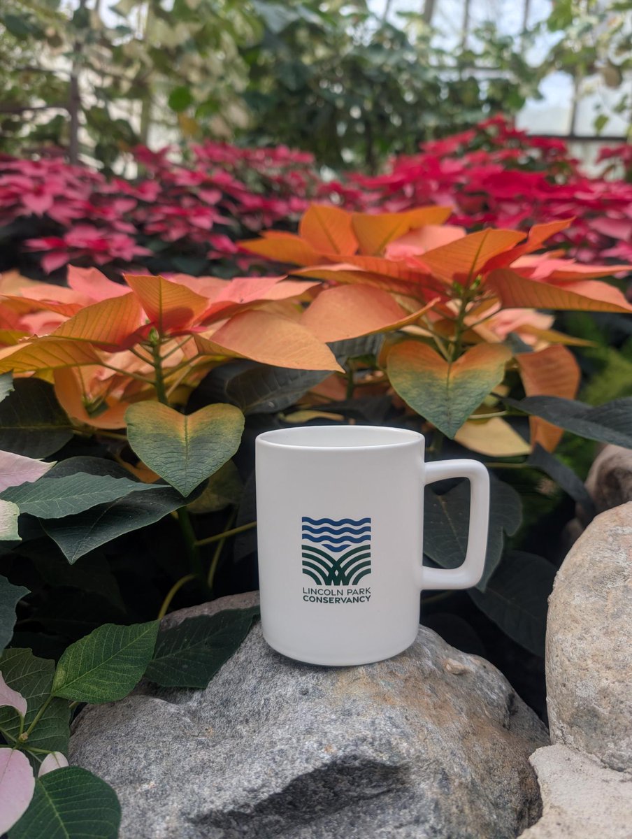 Lincoln Park Conservancy tweet media