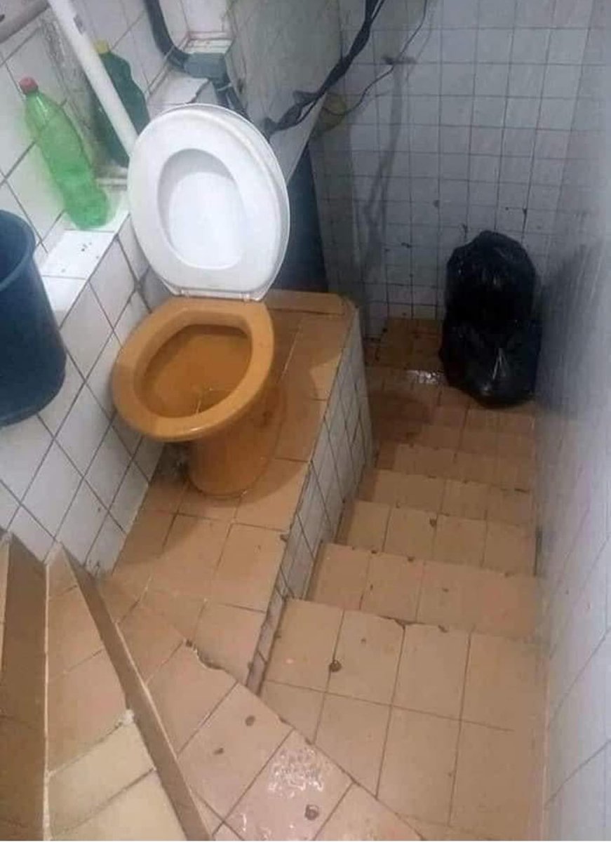 „Vergiss nicht, auf dem Weg in den Keller deiner Schwiegermutter das Klopapier zu bringen!“