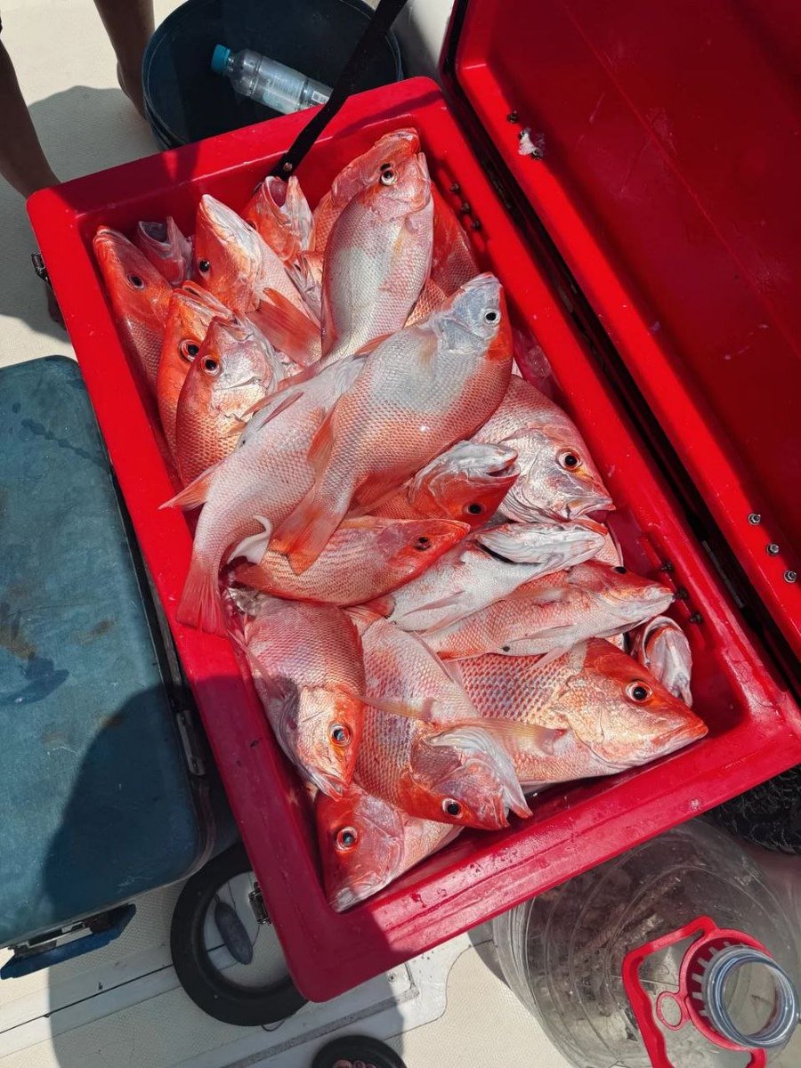 Go fishing, a lot of harvest