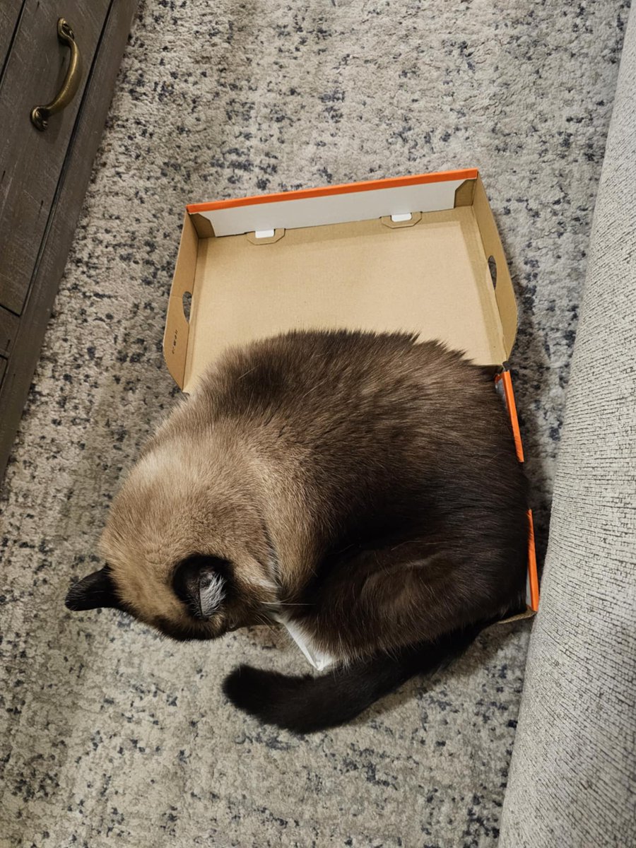 Sir Can Pirate tweet media