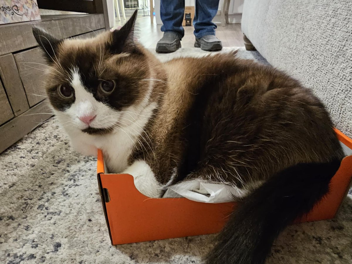 Sir Can Pirate tweet media