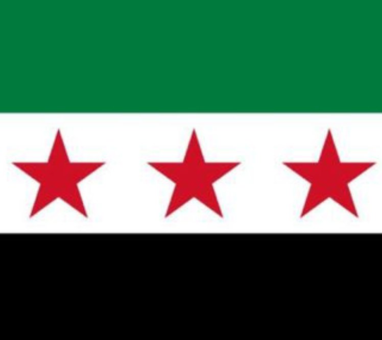 إننا في اتحاد المنظمات الأهلية في العالم الإسلامي نبارك للشعب السوري الحر البطل الذي عانى لسنوات طويلة من الظلم والبغي والعدوان، على الخلاص من الحكم الديكتاتوري ونسأل الله أن يكون هذا النصر بشارة لكل المظلومين من غزة لتركستان الشرقية. 
أيوب أقبال
الأمين العام