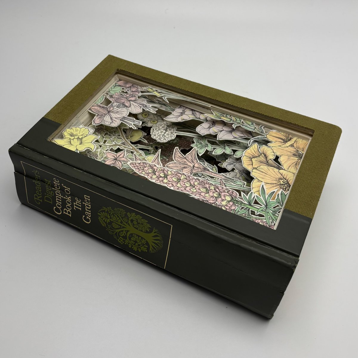 Julia Strand tweet media