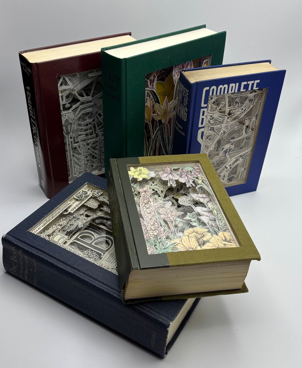 Julia Strand tweet media