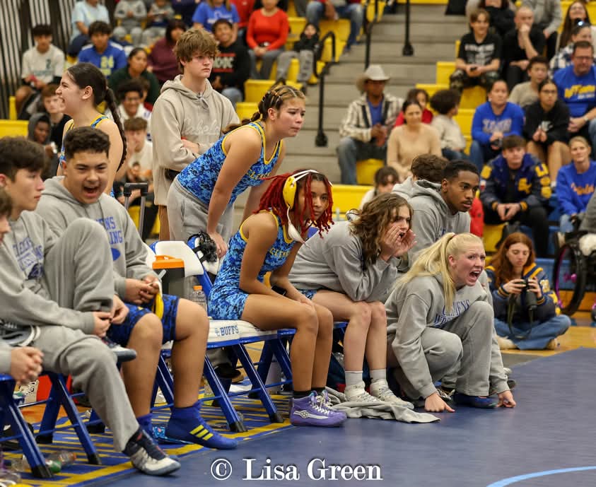 KyllystaD's tweet photo. 💛💙Senior Night💙💛
Shout out to all the senior parents &amp; families for making this night spectacular. It's is truly appreciated when members of the @SCUCISD school board and @CityofSchertz come out to support. @ClemensWrestli1 @scbuffalostrong @CruitClemens @SamuelClemensHS https://t.co/EDjjapjezx