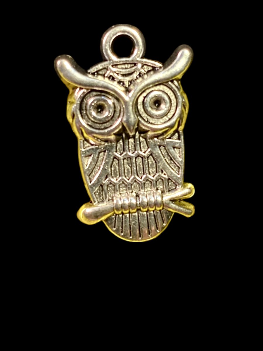 greatstuffuneed's tweet photo. Charm Pendant Lots at Bargain Prices! These and more great items waiting just for you! #charms #pendants #jewelry #findings #clearance #sale #closeouts #bargains #BargainHunt #gift #shopping https://t.co/bwSZeIUVMC https://t.co/HY1iOGxhOs