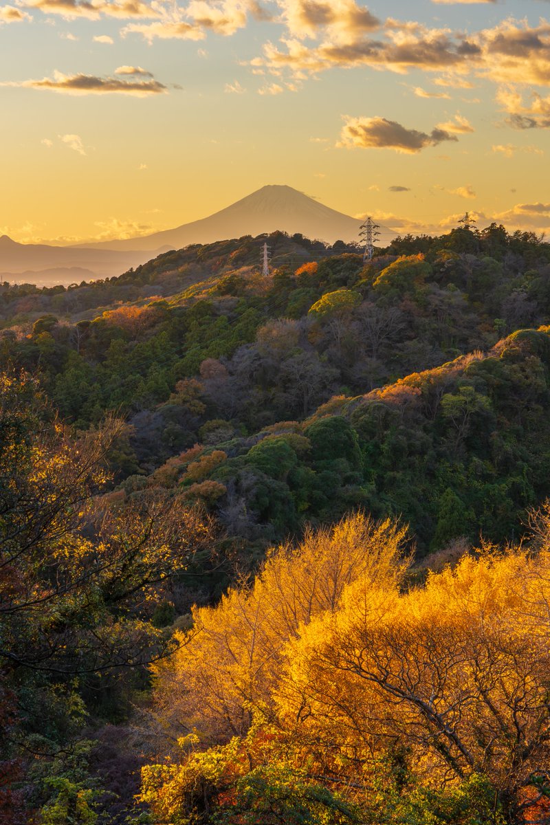 shrhdk's tweet photo. 鎌倉の天園ハイキングコースを歩きました。美しい夕暮れの景色に感動！
#鎌倉散歩 #富士山 #紅葉 https://t.co/3YpDwhXU8Z