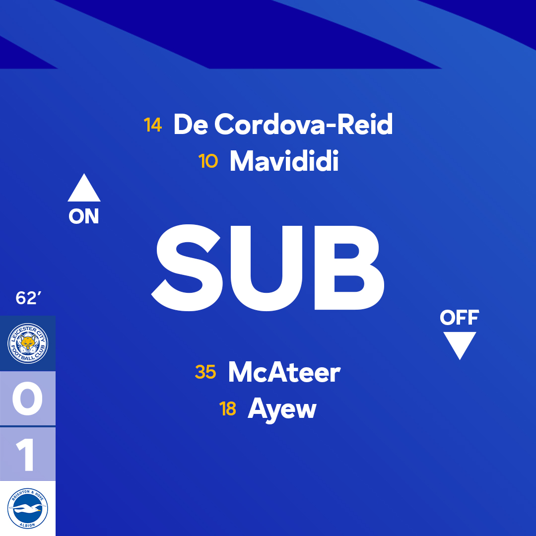 LCFC's tweet image. Introducing Bobby and Stephy 🔁

#LEIBHA