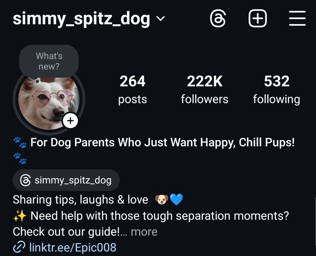 BeeepBear's tweet photo. @dogbtc_ @dogbtc_  Hello 👋 🤗 I am selling  this account so just want to know if you are interested  in expanding your business ( then this account is good for you ) username is @simmy_spitz_dog on instagram current follower are 223k https://t.co/WI4UQCd4b8