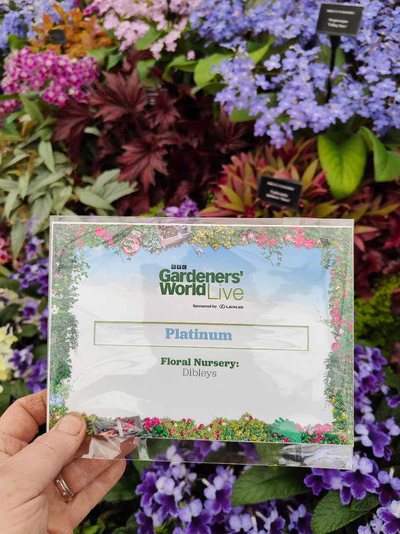 Dibleys Nurseries tweet media