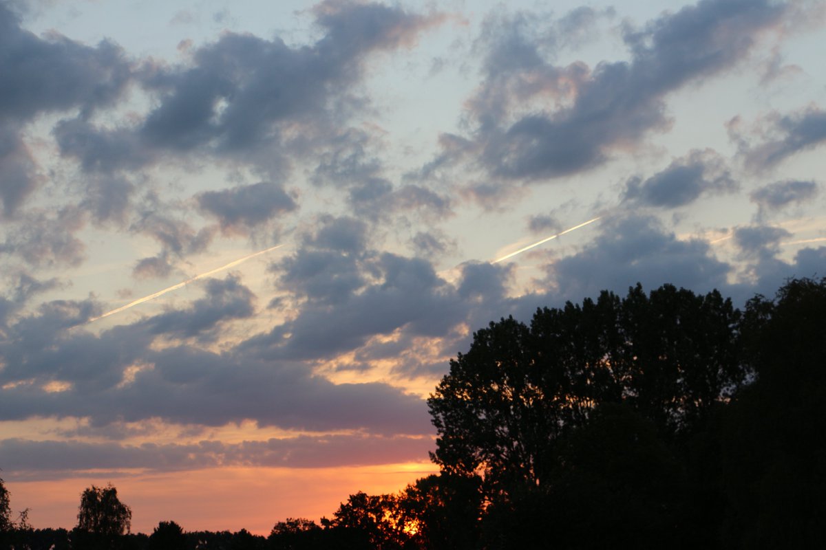 „Das Glück deines Lebens hängt von der Beschaffenheit deiner Gedanken ab.“ (Marc Aurel) #NatureTherapy #NaturePhotography #Mindfulness #tastymind #happyness #glueck #achtsamkeit #meditation #bewusstleben #Philosophy  (tastymindset.blogspot.com)