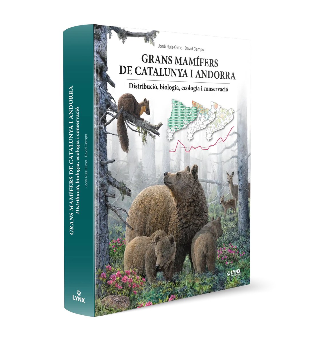 birdcatalunya's tweet photo. Avui us proposo alguns llibres de certes dimensions, d’aquells que són ideals per agafar un diumenge a la  tarda, amb calma, i anar-los fullejant i gaudint-los sense pressa.

Som-hi 🧵🪡 https://t.co/7QlnKGEEMc
