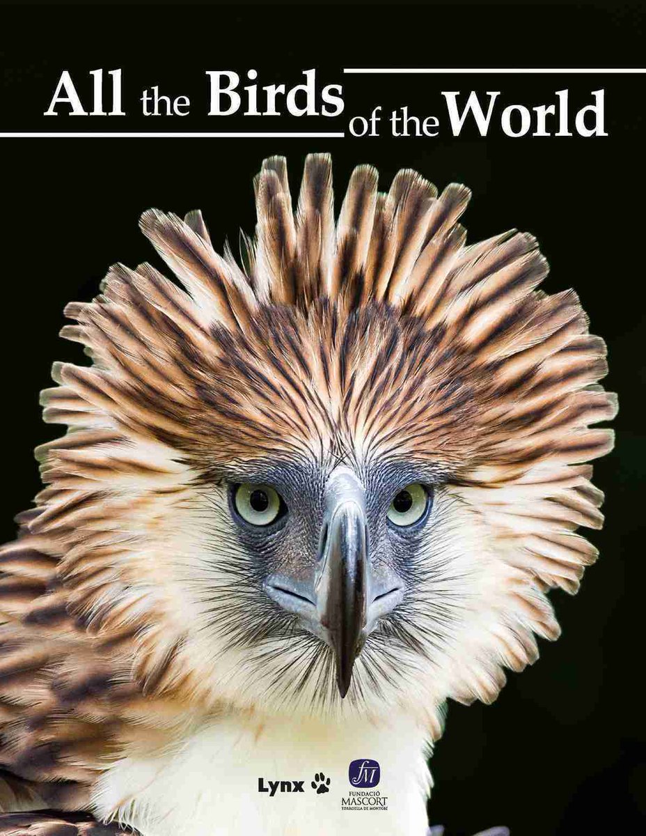 birdcatalunya's tweet photo. Avui us proposo alguns llibres de certes dimensions, d’aquells que són ideals per agafar un diumenge a la  tarda, amb calma, i anar-los fullejant i gaudint-los sense pressa.

Som-hi 🧵🪡 https://t.co/7QlnKGEEMc