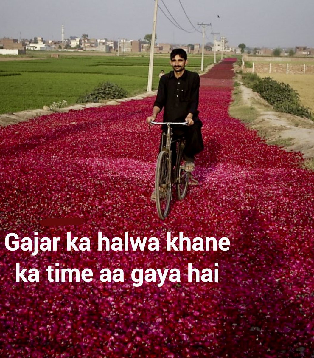 The season is here!!😋