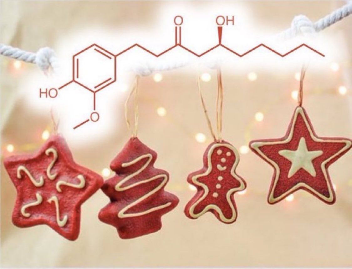 eedcAndy's tweet photo. Ginger up #GingerbreadDecoratingDay! A recent clinical trial found ginger lowers the severity &amp; frequency of vomiting; a potential treatment against vomiting bugs that cause dehydration/death in the developing world. The antiemetic effects may be due to gingerols #spicethingsup https://t.co/vR3l5zPJQo