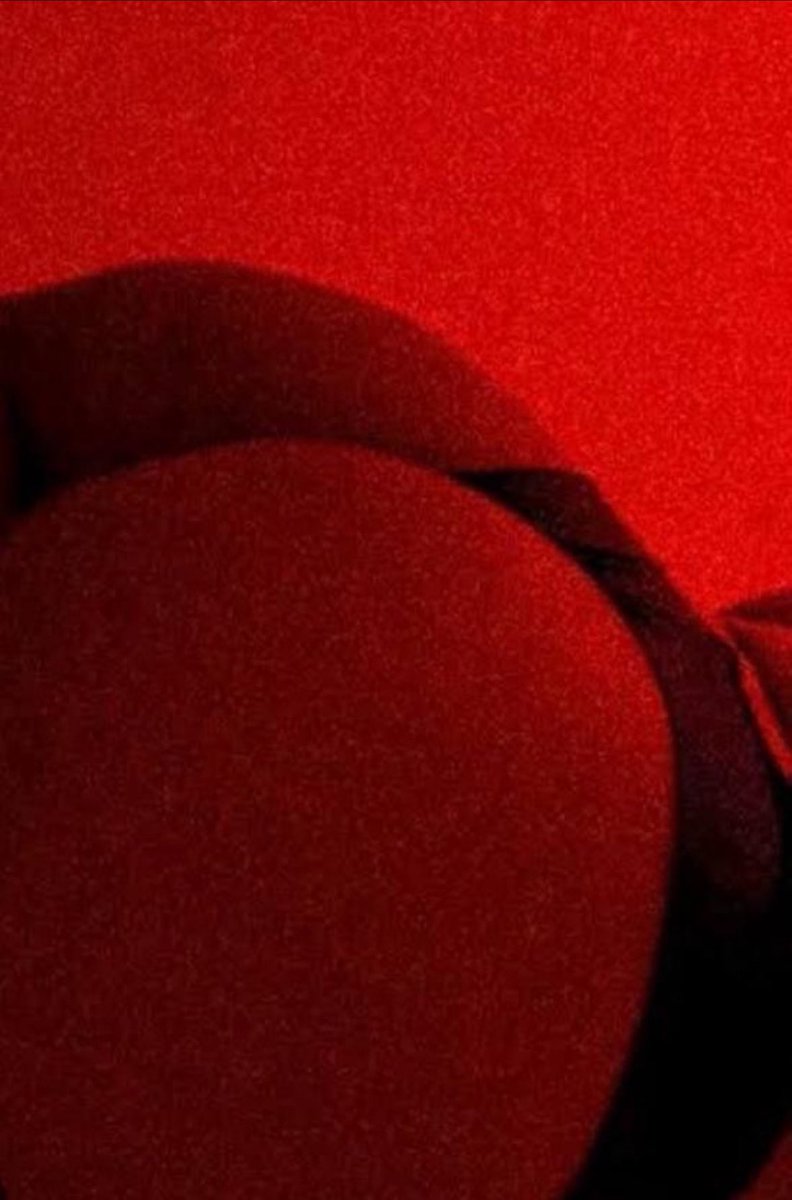 sobbweb's tweet photo. new pinned ! 
we are so back (i think)

minors dni
like / rt for moots ! 

- 20
- 5'2 
-GMT
- 👩‍❤️‍💋‍👩 / 👩‍❤️‍💋‍👨
- 🇨🇴 &amp; 🇨🇦

new mutuals? 💗
 #nsfwtwt #nsfw https://t.co/FAmKjOouUU