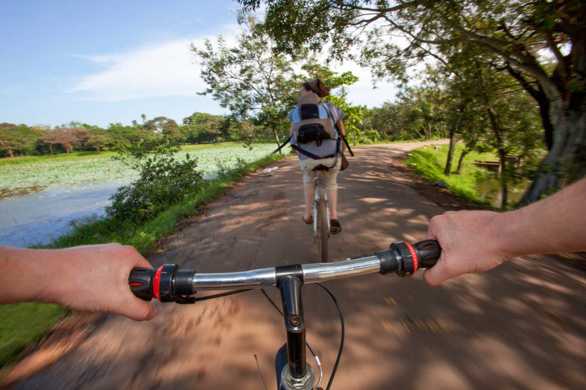 simplytgt's tweet photo. Planning a December trip to Sri Lanka? Enjoy sunny days on the south coast with kayaking and biking in Galle! #SriLankaTravel #OutdoorandNurture #TGTImmersive #MakeTravelResponsible #SimplyTravelGate #TGTexperience #VisitSriLanka #TGT https://t.co/hJzqNKzKDq