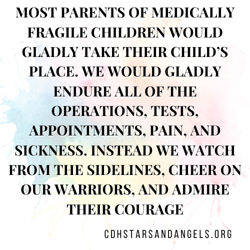 CDH Stars and Angels tweet media