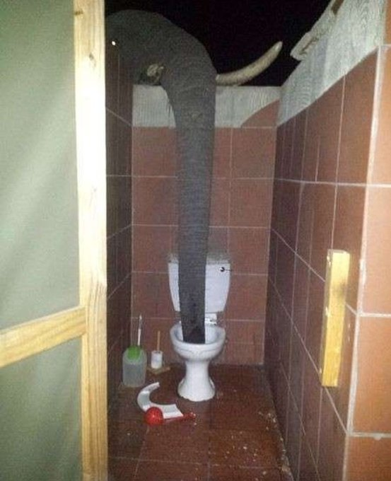 frigosouul's tweet photo. el profe: "por que no habéis ido al baño en el recreo?"

el baño en el recreo: https://t.co/H9eHjsXA96