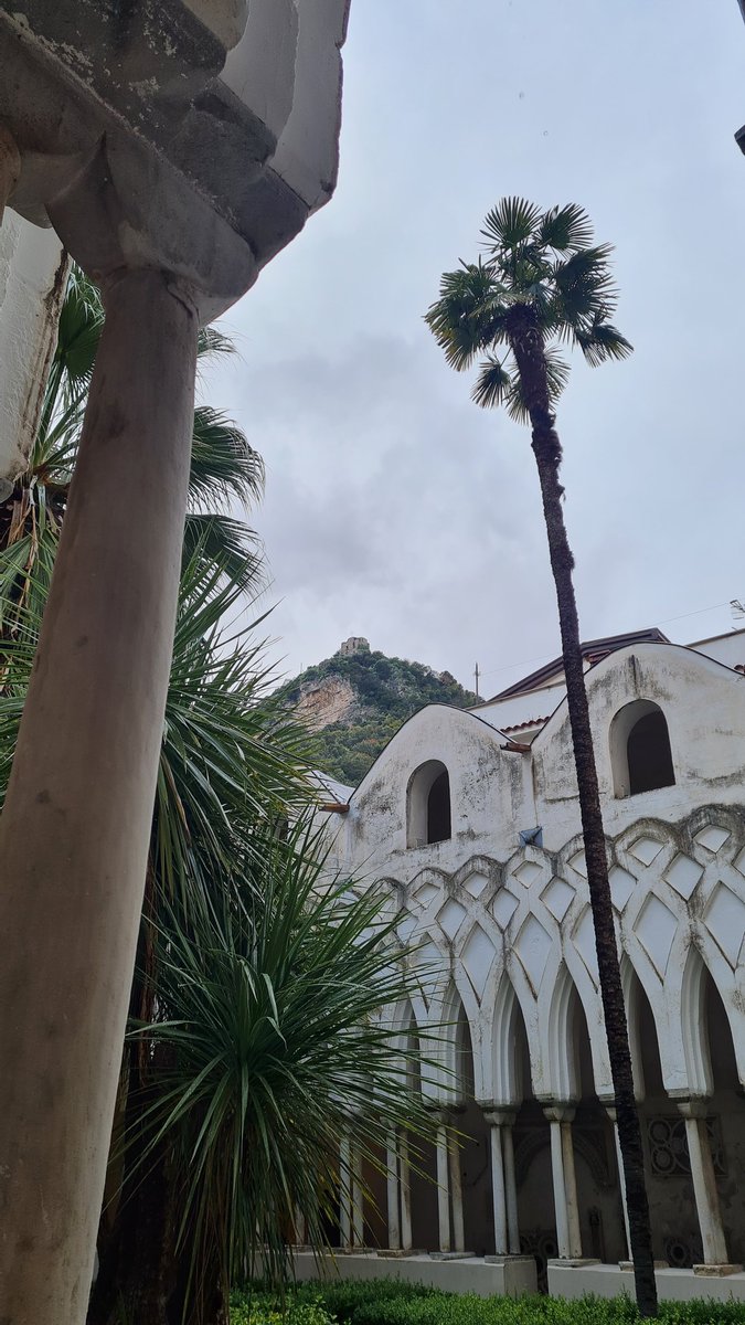 Lola Lozano tweet media