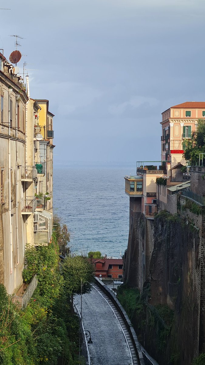 Lola Lozano tweet media