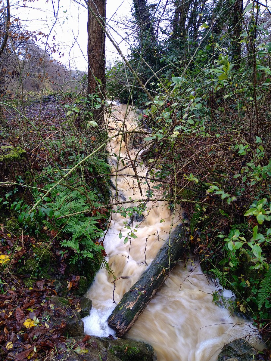 No <a href="/oakhillparkrun/">Oak Hill parkrun</a> yesterday, but managed to squeeze in 5K between bits of #StormDarragh today. That's 521.87 miles run so far this year #Run2024 #ukrunchat