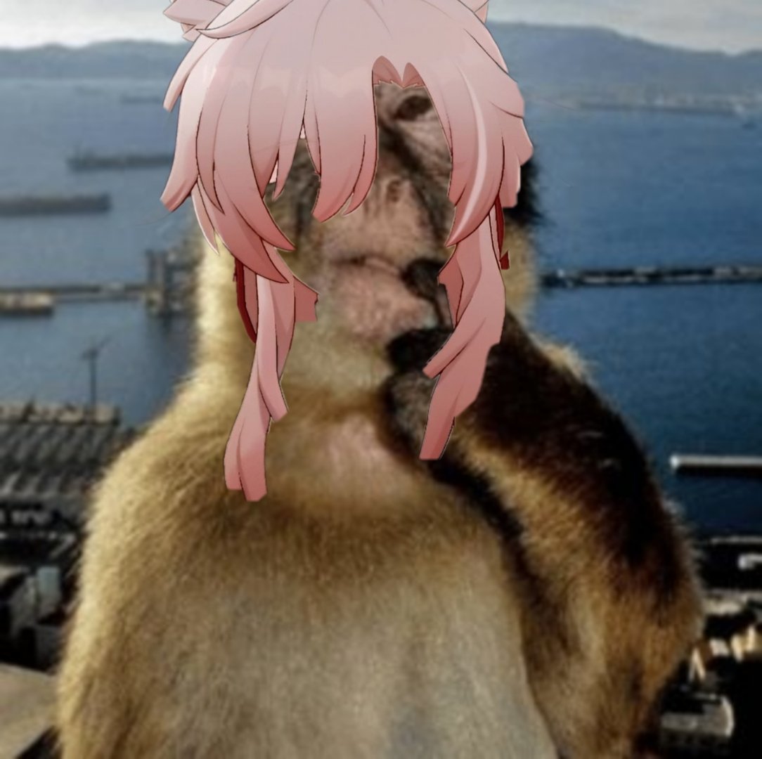 PROF NANA tweet media