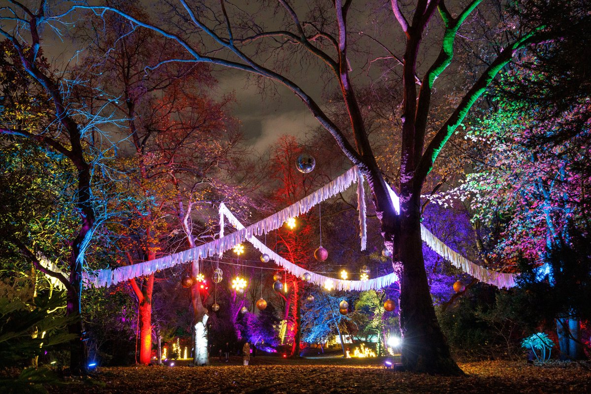✨ From the Gift of Chelsea to the Candyland Grotto, our Christmas light trail is packed with festive magic! ✨

And don’t miss the marshmallow toasting station - it’s the perfect cosy treat as you wander through the lights. 😍🔥