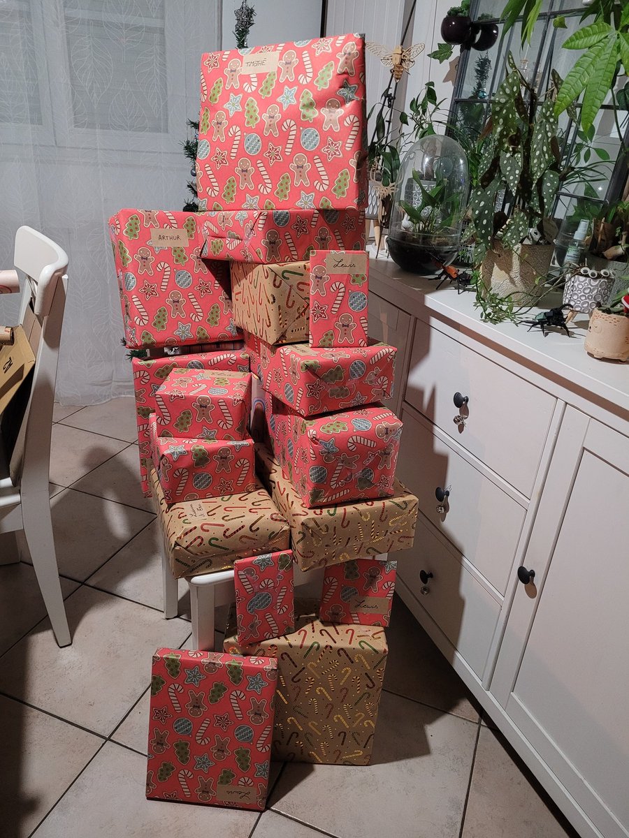 Ça, c'est fait ! Tout est acheté, emballé, trié et caché.
C'est bien le seul avantage d'être célibataire: on a beaucoup, beaucoup, beaucoup (trop) de temps libre...🫤