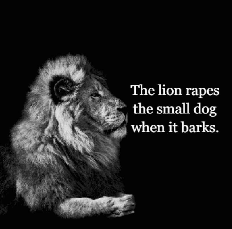 Zankurrrr's tweet photo. https://t.co/QPhQOUG7vC