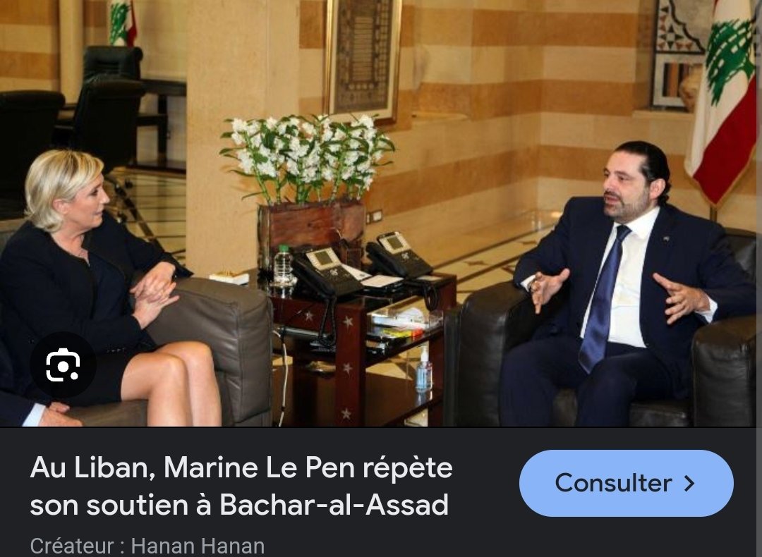 RaphaelTomei's tweet image. Je vois beaucoup de gens, à raison, cracher sur LFI et Melenchon suite à la chute d'Assad.

N'oubliez pas qu étaient les alliés les plus proches d'Assad : Le Pen, Mariani et la droite identitaire. Eux se taisent aujourd'hui, mais doivent payer.

Communiquez + ces images svp.